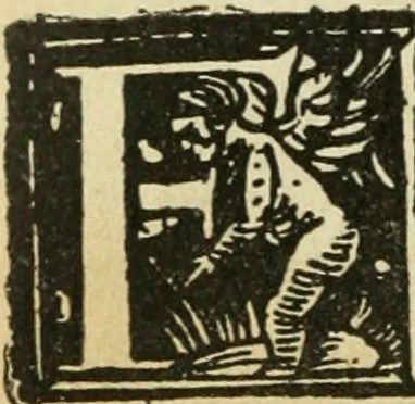 An illustration from Új testamentu maar ellven, mellet az görög és diák ellvbol ... fordijtant [Sylvester János.], 1541, leaf 495
