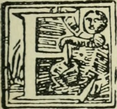 An illustration from Új testamentu maar ellven, mellet az görög és diák ellvbol ... fordijtant [Sylvester János.], 1541, leaf 506