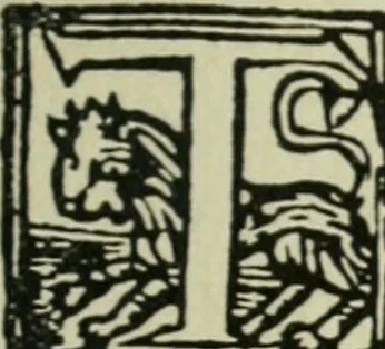 An illustration from Új testamentu maar ellven, mellet az görög és diák ellvbol ... fordijtant [Sylvester János.], 1541, leaf 522