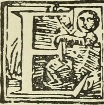 An illustration from Új testamentu maar ellven, mellet az görög és diák ellvbol ... fordijtant [Sylvester János.], 1541, leaf 545