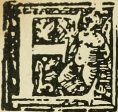 An illustration from Új testamentu maar ellven, mellet az görög és diák ellvbol ... fordijtant [Sylvester János.], 1541, leaf 549