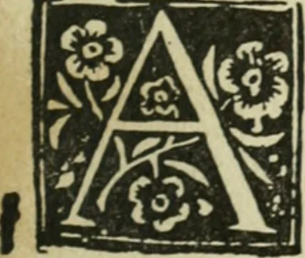 An illustration from Új testamentu maar ellven, mellet az görög és diák ellvbol ... fordijtant [Sylvester János.], 1541, leaf 564