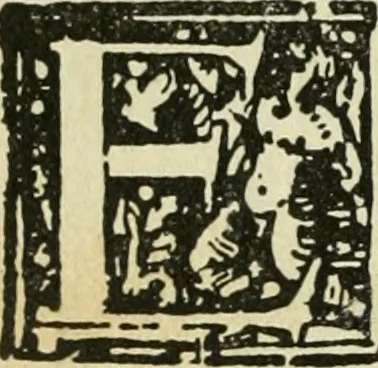 An illustration from Új testamentu maar ellven, mellet az görög és diák ellvbol ... fordijtant [Sylvester János.], 1541, leaf 587