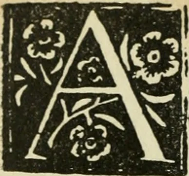 An illustration from Új testamentu maar ellven, mellet az görög és diák ellvbol ... fordijtant [Sylvester János.], 1541, leaf 595
