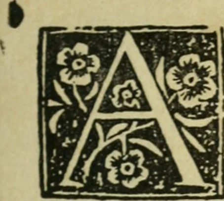 An illustration from Új testamentu maar ellven, mellet az görög és diák ellvbol ... fordijtant [Sylvester János.], 1541, leaf 608