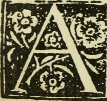 An illustration from Új testamentu maar ellven, mellet az görög és diák ellvbol ... fordijtant [Sylvester János.], 1541, leaf 623