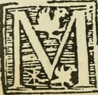 An illustration from Új testamentu maar ellven, mellet az görög és diák ellvbol ... fordijtant [Sylvester János.], 1541, leaf 629