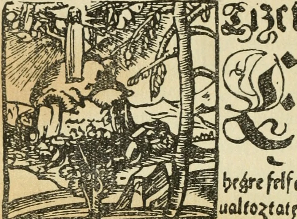 An illustration from Új testamentu maar ellven, mellet az görög és diák ellvbol ... fordijtant [Sylvester János.], 1541, leaf 63