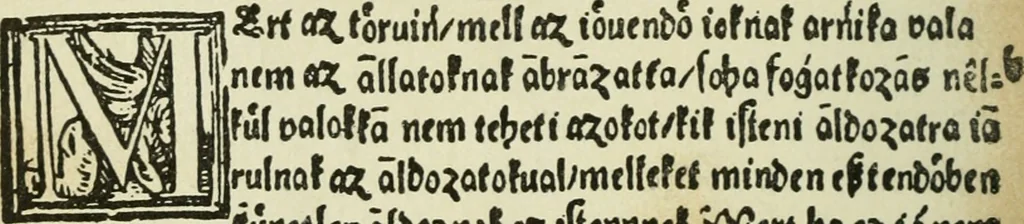 An illustration from Új testamentu maar ellven, mellet az görög és diák ellvbol ... fordijtant [Sylvester János.], 1541, leaf 635