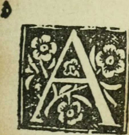 An illustration from Új testamentu maar ellven, mellet az görög és diák ellvbol ... fordijtant [Sylvester János.], 1541, leaf 652