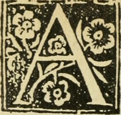 An illustration from Új testamentu maar ellven, mellet az görög és diák ellvbol ... fordijtant [Sylvester János.], 1541, leaf 661