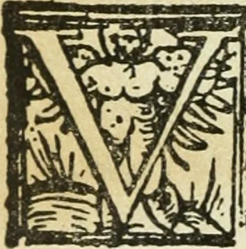 An illustration from Új testamentu maar ellven, mellet az görög és diák ellvbol ... fordijtant [Sylvester János.], 1541, leaf 671
