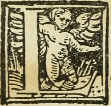 An illustration from Új testamentu maar ellven, mellet az görög és diák ellvbol ... fordijtant [Sylvester János.], 1541, leaf 681