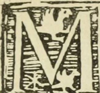 An illustration from Új testamentu maar ellven, mellet az görög és diák ellvbol ... fordijtant [Sylvester János.], 1541, leaf 687
