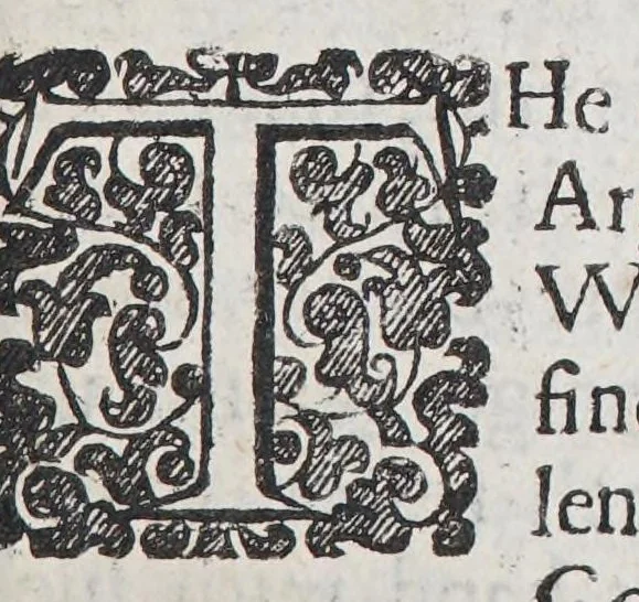 An illustration from Judicious and select essayes and observations., 1650, leaf 63