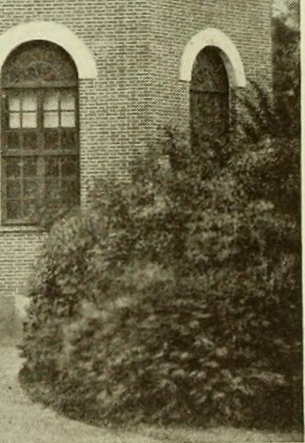 An illustration from Starye gody, 1907, leaf 281
