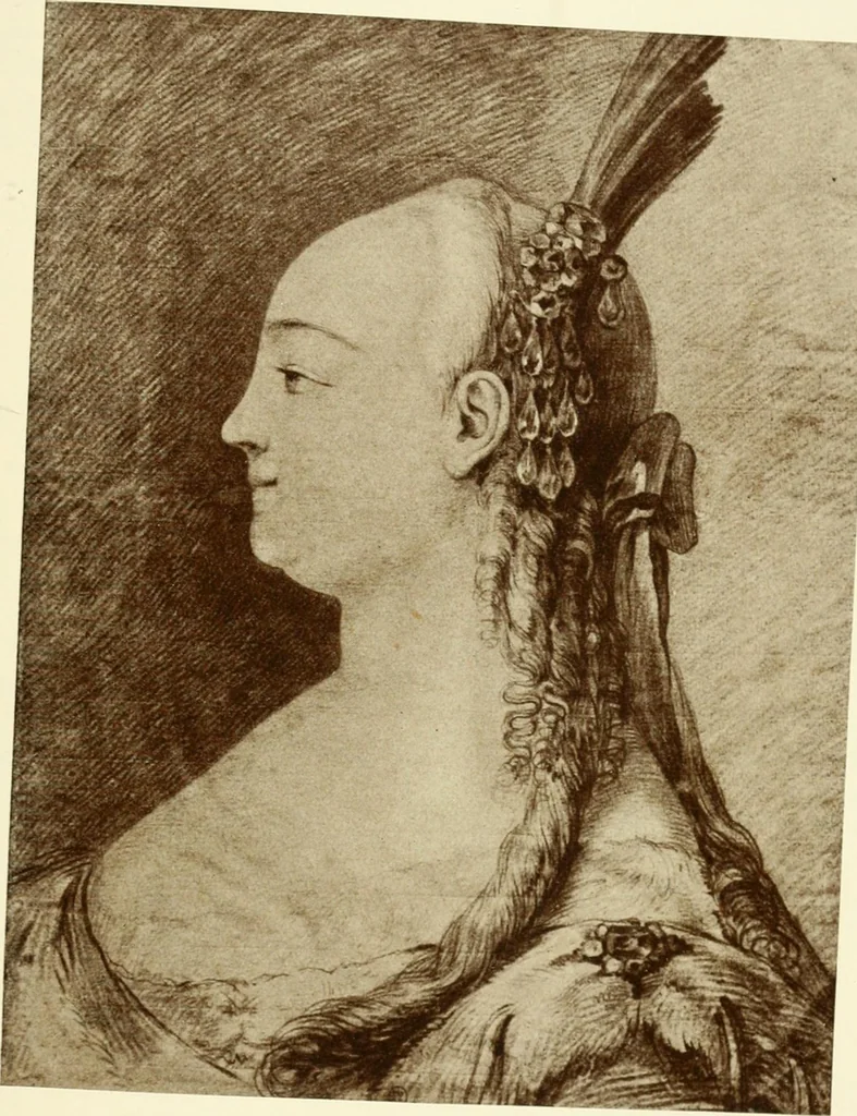 An illustration from Starye gody, 1907, leaf 314