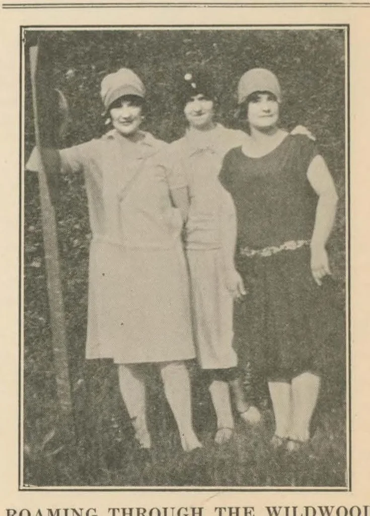 An illustration from July 1928, 1928, leaf 10