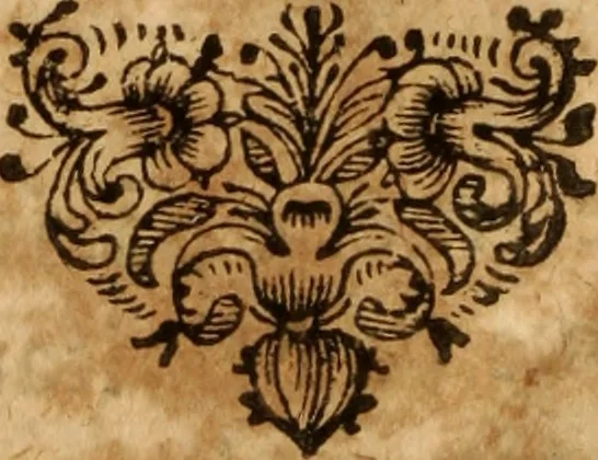 An illustration from Jurisprudentia criminalis : tam publicorum & majorum, quam privatorum & minorum delictorum jura brevi & succinctâ methodo exhibens, 1669, leaf 11