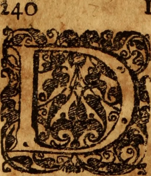 An illustration from Jurisprudentia criminalis : tam publicorum & majorum, quam privatorum & minorum delictorum jura brevi & succinctâ methodo exhibens, 1669, leaf 251