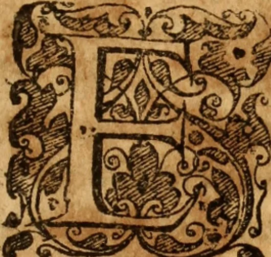 An illustration from Jurisprudentia criminalis : tam publicorum & majorum, quam privatorum & minorum delictorum jura brevi & succinctâ methodo exhibens, 1669, leaf 410