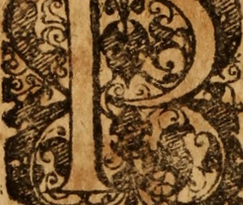 An illustration from Jurisprudentia criminalis : tam publicorum & majorum, quam privatorum & minorum delictorum jura brevi & succinctâ methodo exhibens, 1669, leaf 465