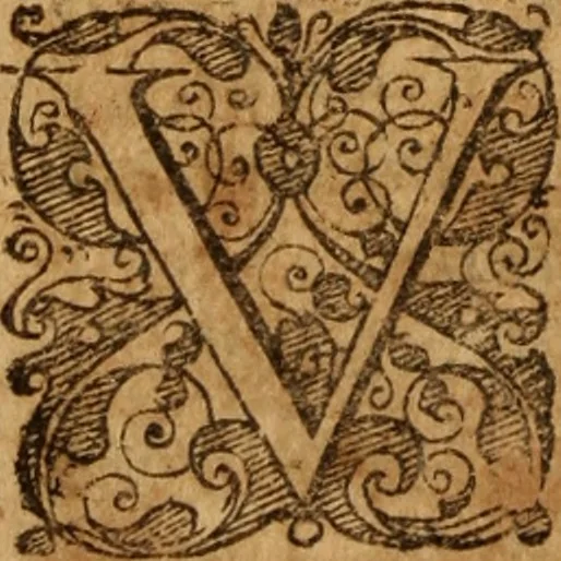 An illustration from Jurisprudentia criminalis : tam publicorum & majorum, quam privatorum & minorum delictorum jura brevi & succinctâ methodo exhibens, 1669, leaf 505