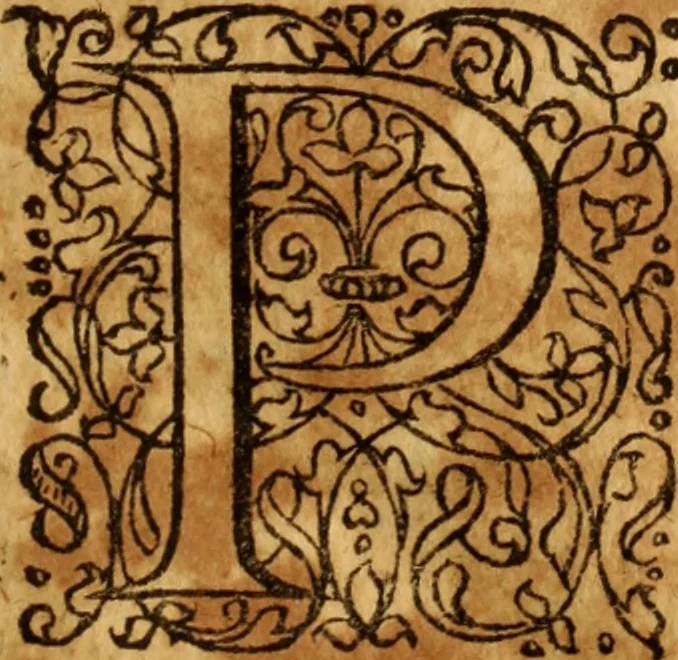An illustration from Jurisprudentia criminalis : tam publicorum & majorum, quam privatorum & minorum delictorum jura brevi & succinctâ methodo exhibens, 1669, leaf 64