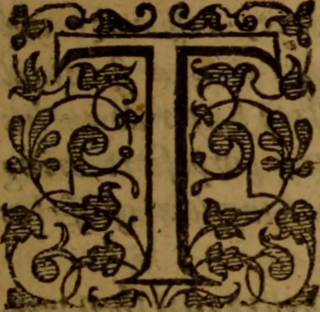 An illustration from Jus divinum ministerii evangelici, or, The divine right of the gospel-ministry .., 1654, leaf 16