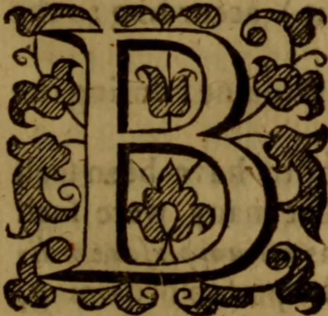 An illustration from Jus divinum ministerii evangelici, or, The divine right of the gospel-ministry .., 1654, leaf 238