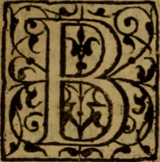 An illustration from Jus divinum ministerii evangelici, or, The divine right of the gospel-ministry .., 1654, leaf 285