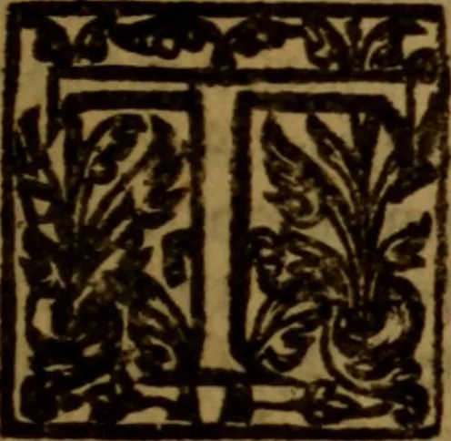 An illustration from Jus divinum ministerii evangelici, or, The divine right of the gospel-ministry .., 1654, leaf 296