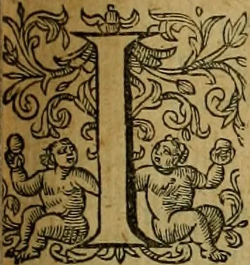 An illustration from Justi Lipsii opera, 1602, leaf 224