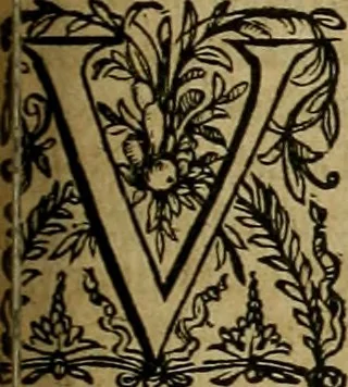 An illustration from Justi Lipsii opera, 1602, leaf 366