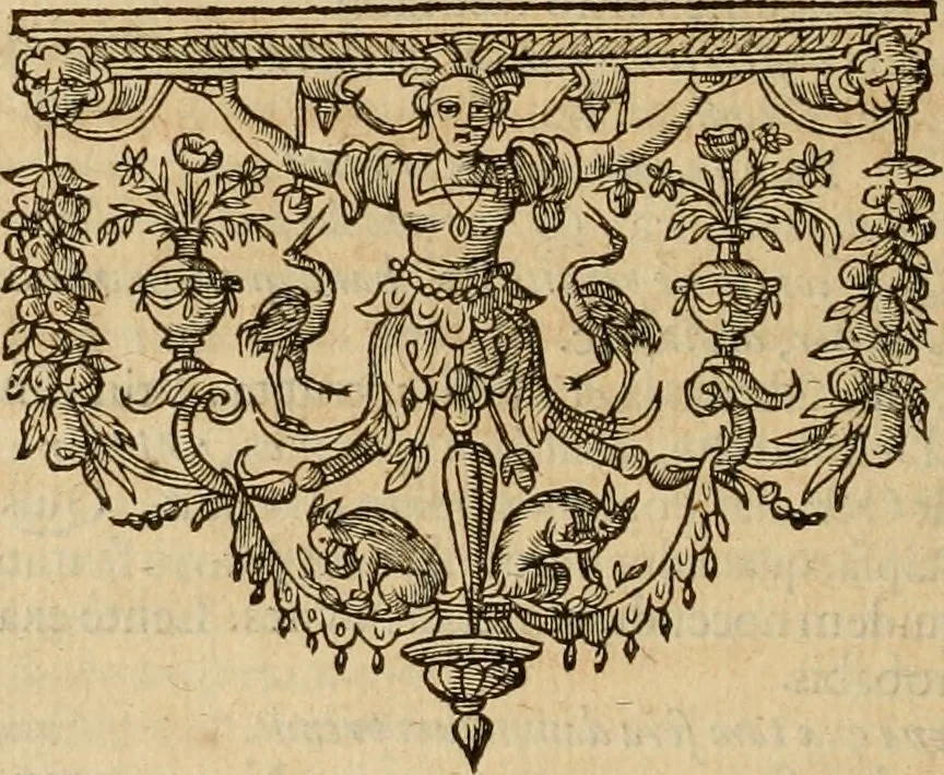 An illustration from Justi Lipsii opera, 1602, leaf 597