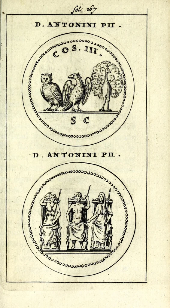 An illustration from Justi Rycquii De Capitolio Romano commentarius : in quo, illustria ejus olim aedificia, sacra, & profana : deorum dearumque nomina, arcus item triumphales, columnae, statuae, tropaea, colossi, caeteraque ornamenta adcuratè describuntur, & plura alia antiquitatis monimenta proferuntur, emendantur, explicantur, 1669, leaf 211