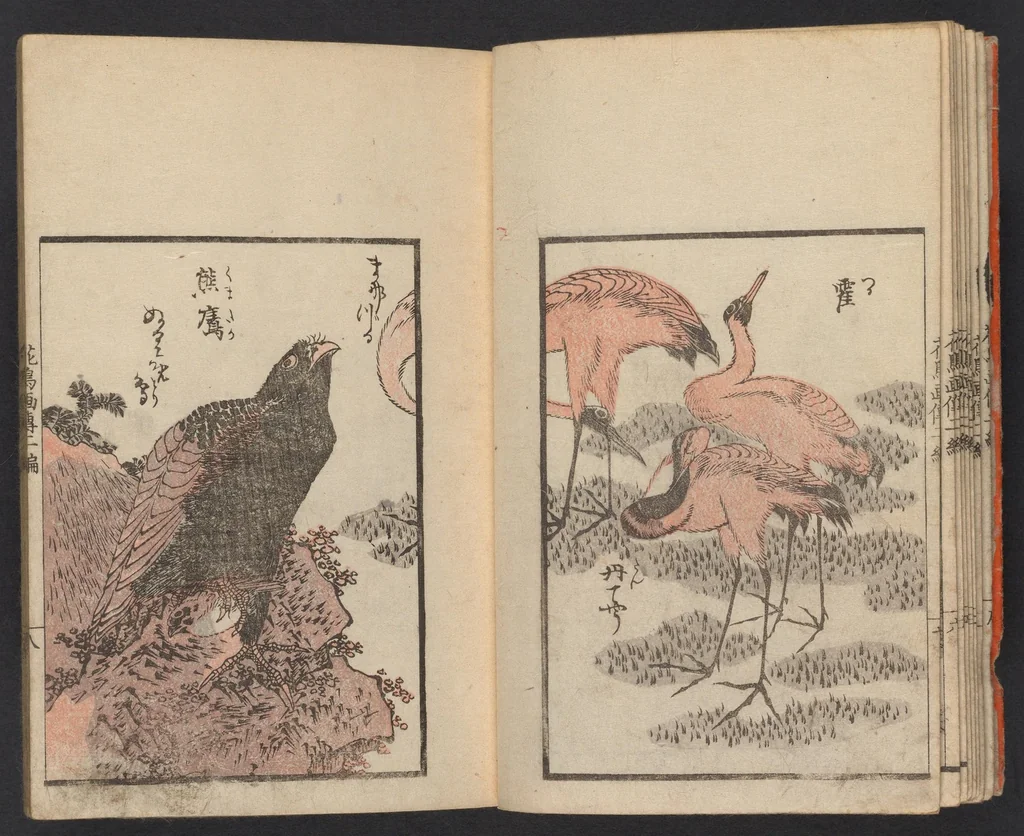 An illustration from Kachō gaden. Shohen : zen, 1849, leaf 10