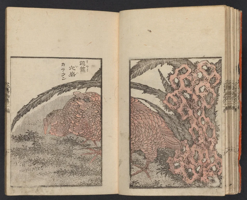 An illustration from Kachō gaden. Shohen : zen, 1849, leaf 12