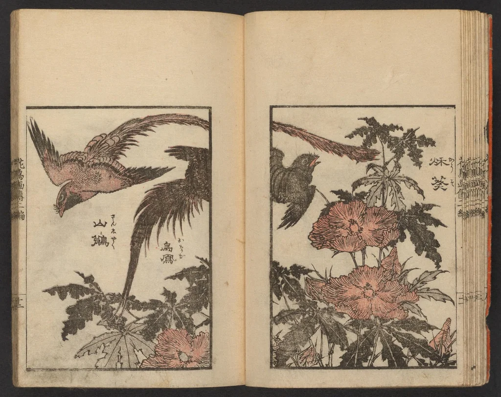 An illustration from Kachō gaden. Shohen : zen, 1849, leaf 14