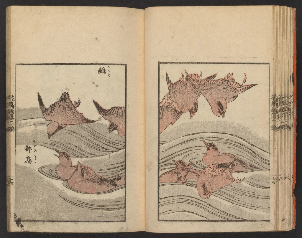 An illustration from Kachō gaden. Shohen : zen, 1849, leaf 16