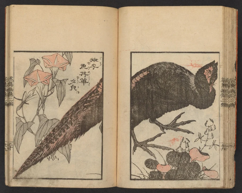 An illustration from Kachō gaden. Shohen : zen, 1849, leaf 22