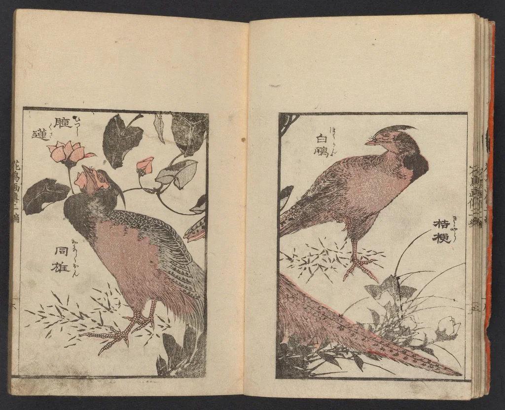 An illustration from Kachō gaden. Shohen : zen, 1849, leaf 8