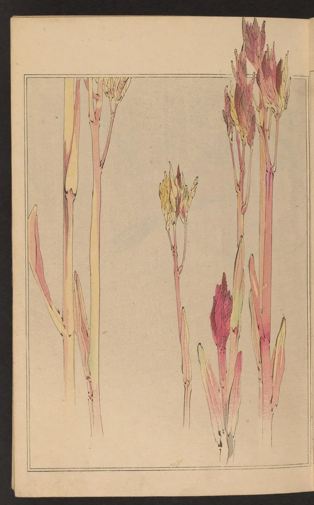 An illustration from Kachō gafu, 1903, leaf 4