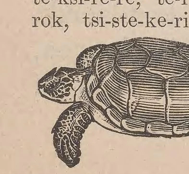 An illustration from Kaiatonsera ionteweienstakwa kaiatonserase. Nouveau syllabaire iroquois, 1873, leaf 12