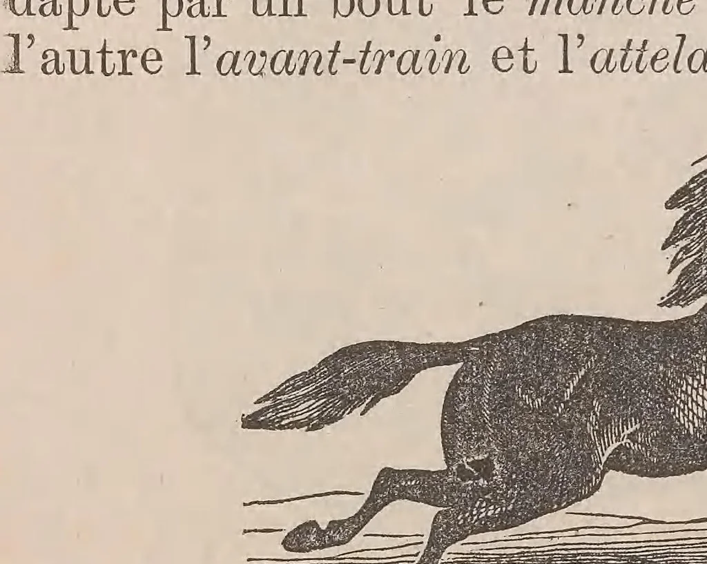 An illustration from Kaiatonsera ionteweienstakwa kaiatonserase. Nouveau syllabaire iroquois, 1873, leaf 50