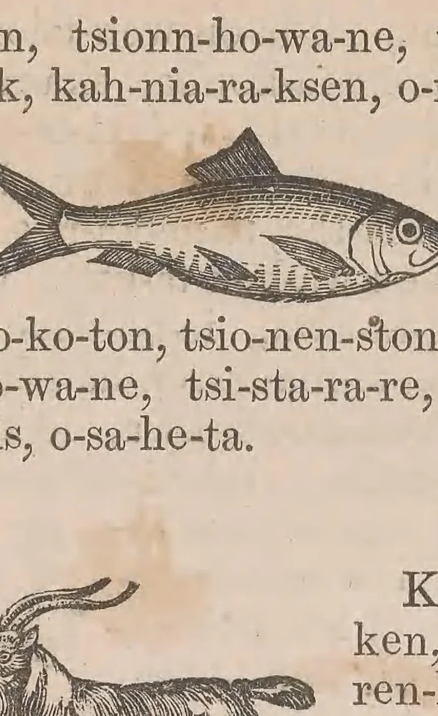 An illustration from Kaiatonsera ionteweienstakwa kaiatonserase. Nouveau syllabaire iroquois, 1873, leaf 91