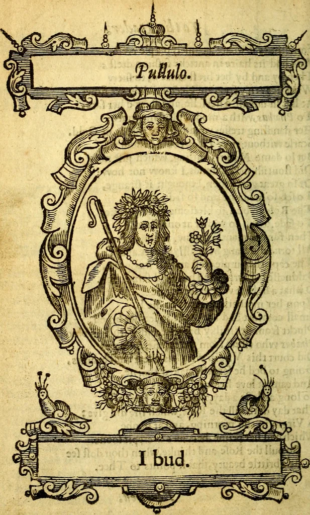 An illustration from Kalendarium humanæ vitæ = The kalendar [sic] of mans life, 1638, leaf 33