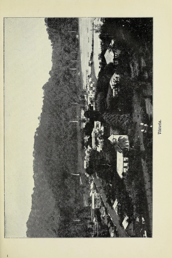 An illustration from Kamerun als Kolonie und Missionsfeld, 1909, leaf 21