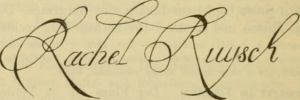 An illustration from Katalog der Königlichen Gemäldegalerie zu Dresden, 1892, leaf 581