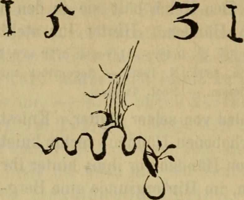 An illustration from Katalog der Königlichen Gemäldegalerie zu Dresden, 1899, leaf 711